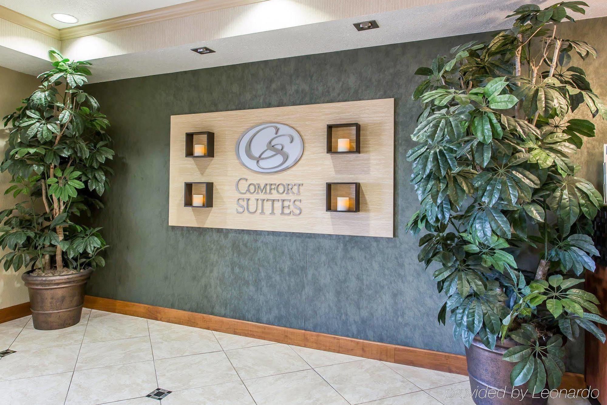 Comfort Suites Hopkinsville Near Fort Campbell Exterior foto